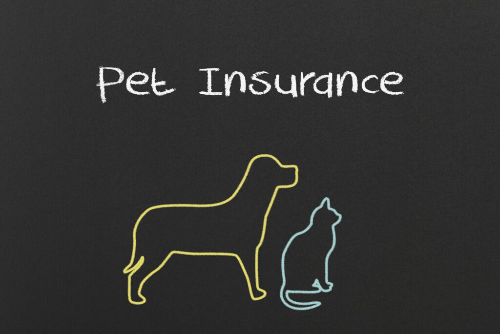 8 Best Pet Insurance Companies